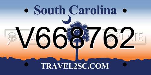 V668762 South Carolina License Plate