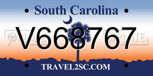V668767 South Carolina License Plate