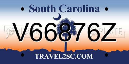V66876Z South Carolina License Plate