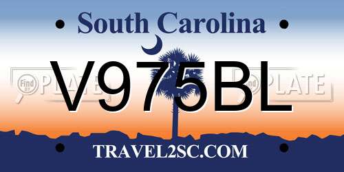 V975BL South Carolina License Plate
