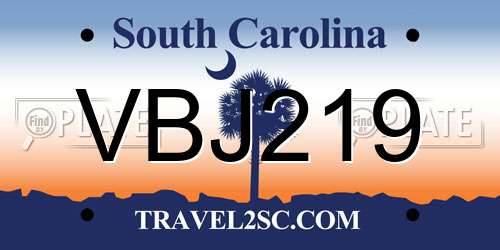 VBJ219 South Carolina License Plate