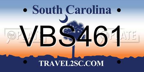 VBS461 South Carolina License Plate