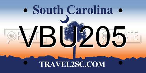 VBU205 South Carolina License Plate