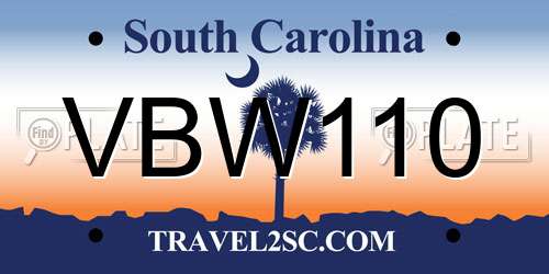 VBW110 South Carolina License Plate