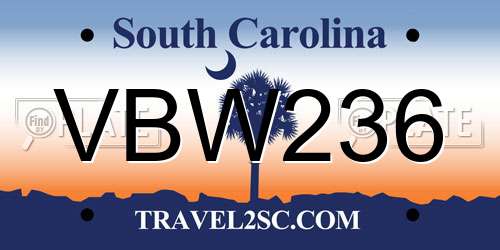 VBW236 South Carolina License Plate