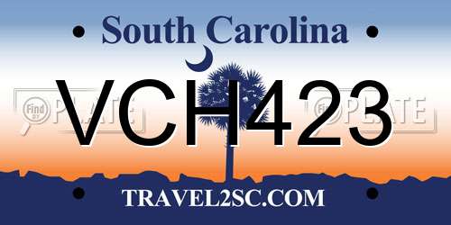 VCH423 South Carolina License Plate