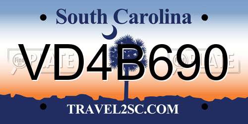 VD4B690 South Carolina License Plate