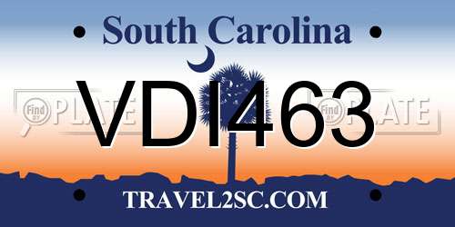 VDI463 South Carolina License Plate