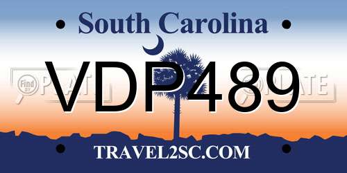 VDP489 South Carolina License Plate