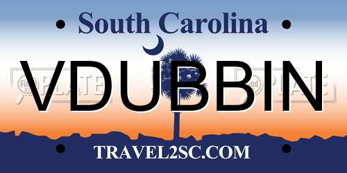 VDUBBIN South Carolina License Plate