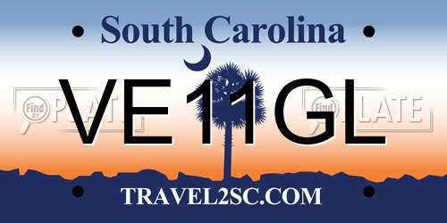 VE11GL South Carolina License Plate