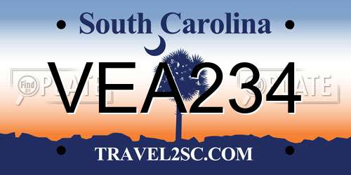 VEA234 South Carolina License Plate