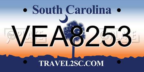 VEA8253 South Carolina License Plate