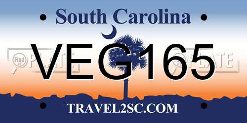 VEG165 South Carolina License Plate