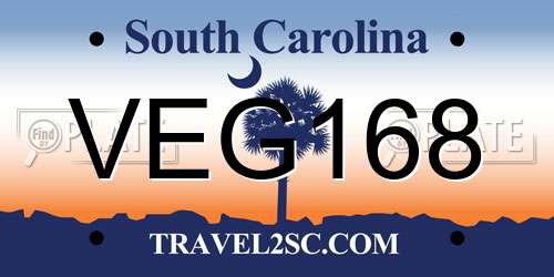 VEG168 South Carolina License Plate