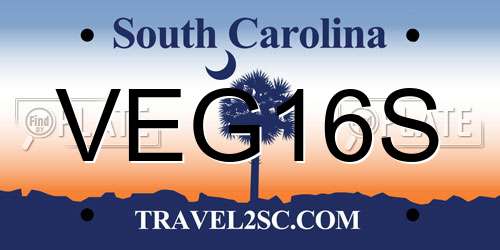 VEG16S South Carolina License Plate
