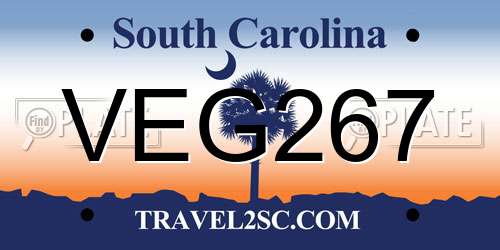 VEG267 South Carolina License Plate