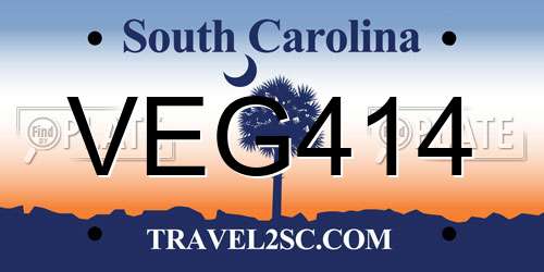 VEG414 South Carolina License Plate