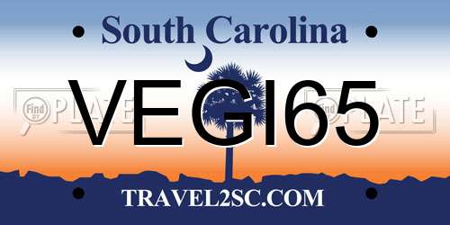 VEGI65 South Carolina License Plate
