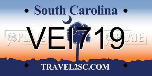 VEI719 South Carolina License Plate