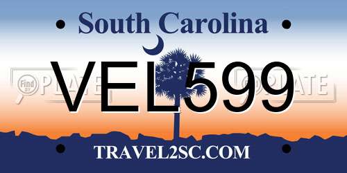 VEL599 South Carolina License Plate