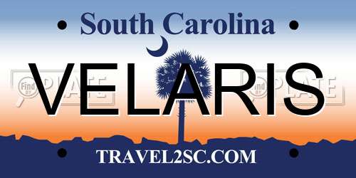 VELARIS South Carolina License Plate