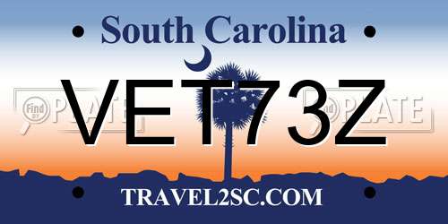 VET73Z South Carolina License Plate