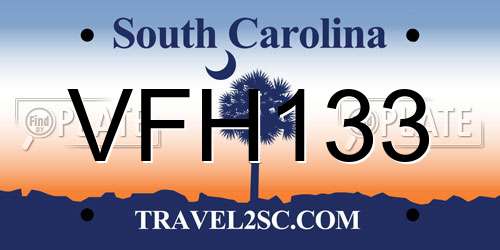 VFH133 South Carolina License Plate
