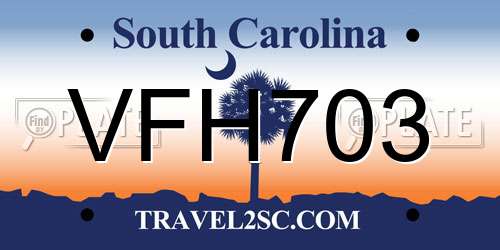 VFH703 South Carolina License Plate
