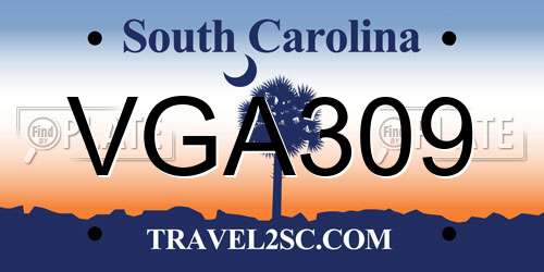 VGA309 South Carolina License Plate