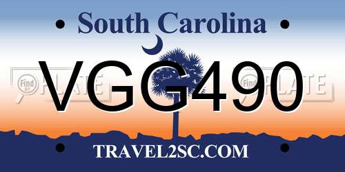 VGG490 South Carolina License Plate