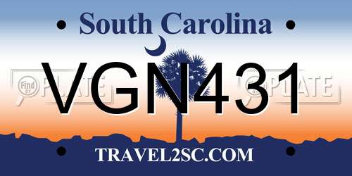 VGN431 South Carolina License Plate