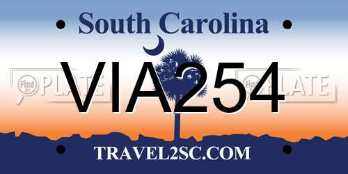VIA254 South Carolina License Plate