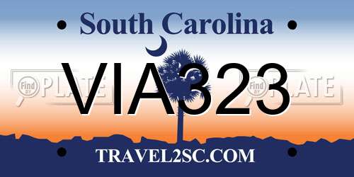VIA323 South Carolina License Plate