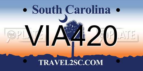 VIA420 South Carolina License Plate