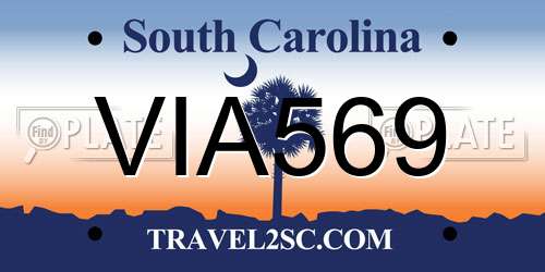VIA569 South Carolina License Plate