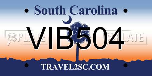 VIB504 South Carolina License Plate
