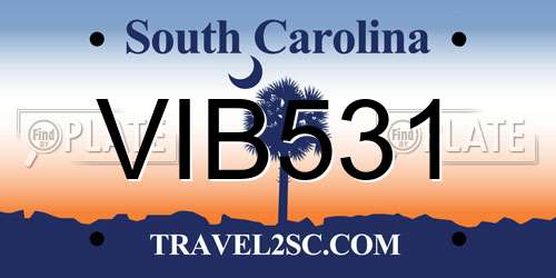 VIB531 South Carolina License Plate