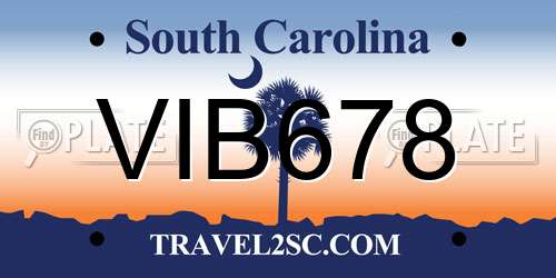 VIB678 South Carolina License Plate