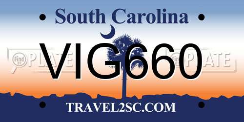 VIG660 South Carolina License Plate
