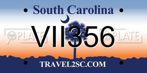 VII356 South Carolina License Plate