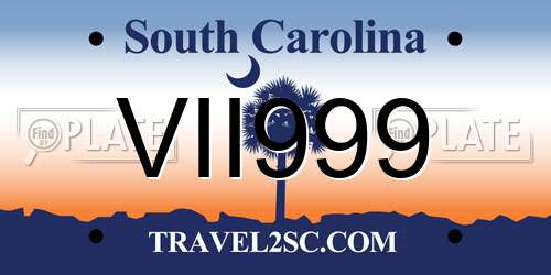 VII999 South Carolina License Plate