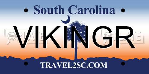 VIKINGR South Carolina License Plate