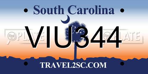 VIU344 South Carolina License Plate