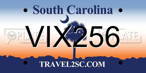 VIX256 South Carolina License Plate
