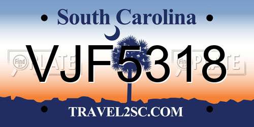 VJF5318 South Carolina License Plate
