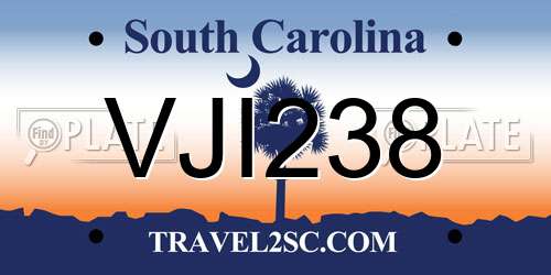 VJI238 South Carolina License Plate