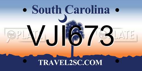 VJI673 South Carolina License Plate