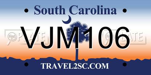 VJM106 South Carolina License Plate