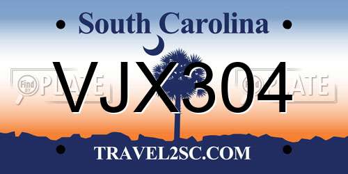 VJX304 South Carolina License Plate